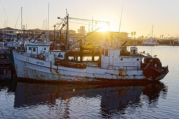 America Photograph - Lady Olga - Fishing Boat At Ventura, California by Darin Volpe