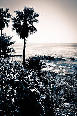 California Wall Art featuring the photograph Laguna Beach California Black And White by Paul Velgos