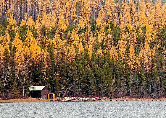 Rocky Photograph - Lake McDonald Boatshed by Nicholas Blackwell