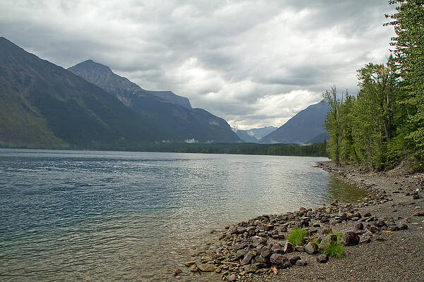 Wildlife Wall Art featuring the photograph Lake McDonald Glacier Park Montana by Waterdancer