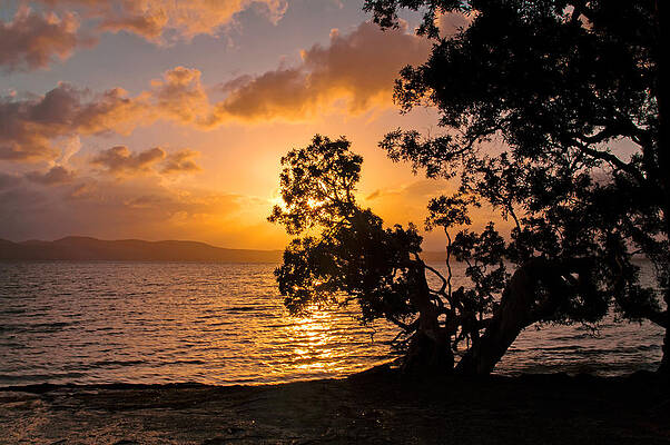 Beach Photograph - Lake Sunset by Nicholas Blackwell