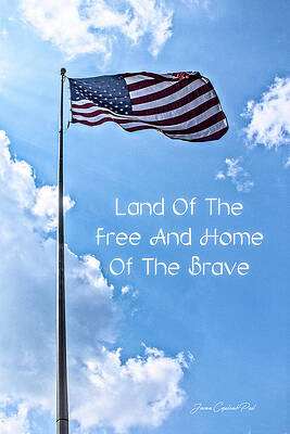 Wall Art featuring the photograph Land Of The Free by Joann Copeland-Paul