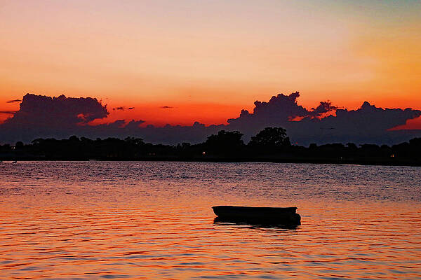 Wall Art featuring the photograph Last Rays Of Orange by Gina Fitzhugh