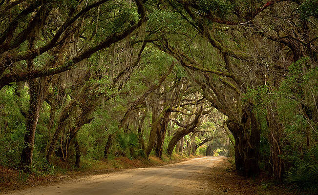 Photograph - Light At The End Of The Tunnel by Marshall Hurley