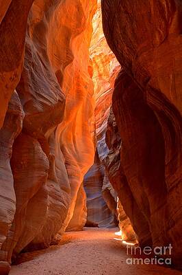 Majestic Slot Canyon Photograph