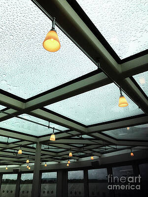 Color Wall Art featuring the photograph Under The Lights And Rain Drops by Rick Locke - Out of the Corner of My Eye