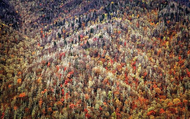 Wall Art featuring the photograph Like A Patchwork by Alberto Audisio