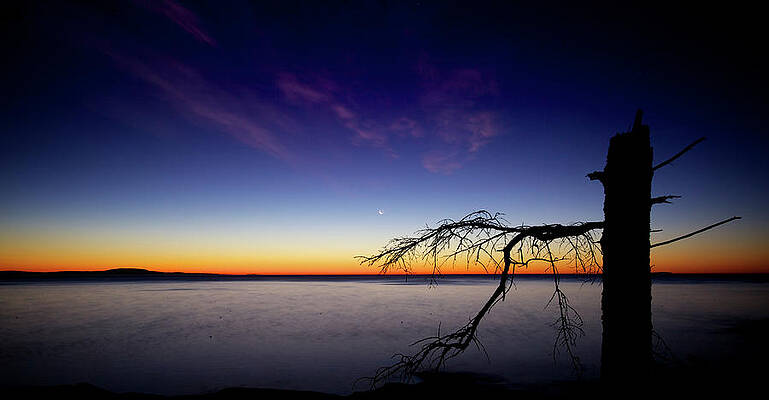 Wall Art featuring the photograph Like A Soldier by Alberto Audisio