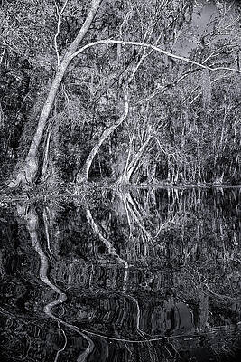 Florida Wall Art featuring the photograph Liquid Silver by Ghostwinds Photography