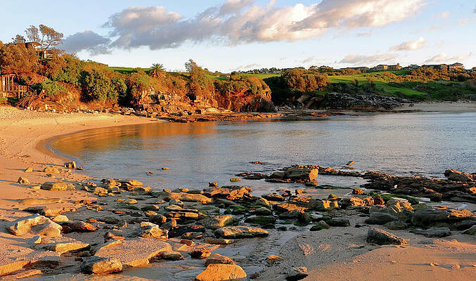Rocky Photograph - Little Bay Beach by Nicholas Blackwell