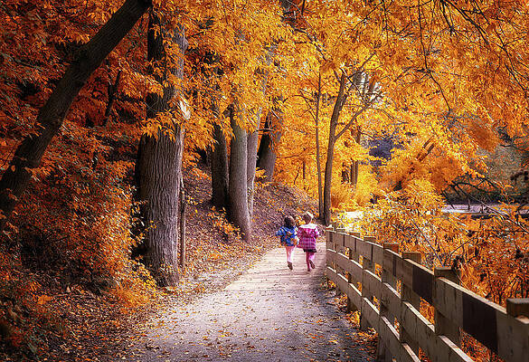Little Riding Hoods by Al Poullis