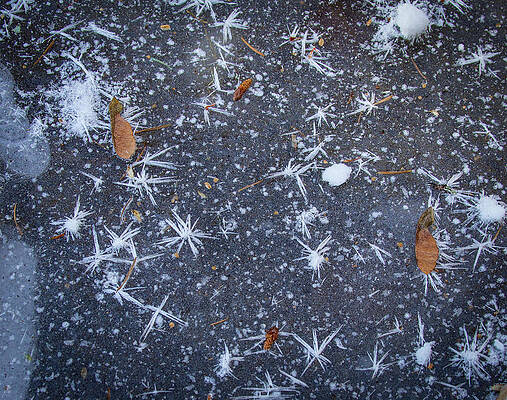 Beautiful Photograph - Locked In Ice by Jean Noren