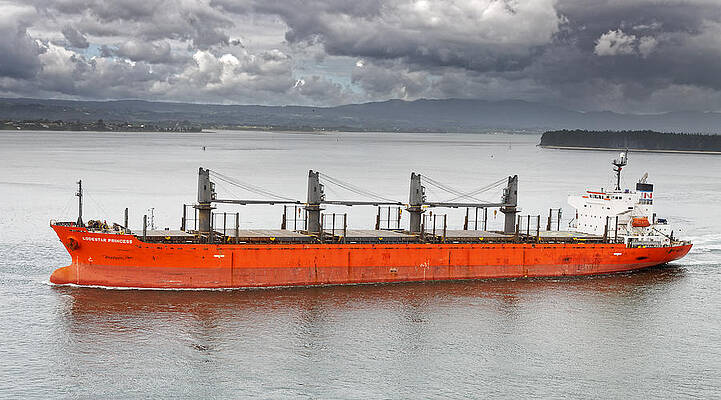 Vibrant Photograph - She's Not The Love Boat -- Bulk Freighter Lodestar Princess In Tauranga, New Zealand by Darin Volpe