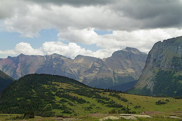 Wildlife Wall Art featuring the photograph Logan Pass Glacier Park Montana by Waterdancer