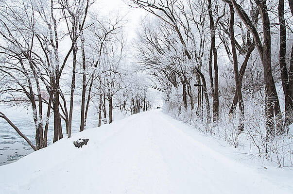 Photograph - Lonely Snowy Road by Robert Newman