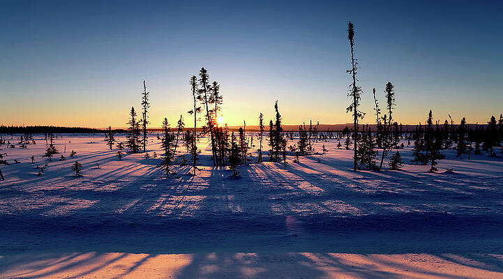Wall Art featuring the photograph Long Shadows by Alberto Audisio