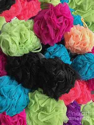 Color Wall Art featuring the photograph Loofah Colorful by Rick Locke - Out of the Corner of My Eye