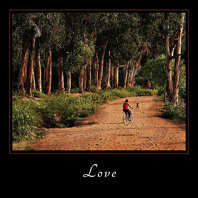 Love Wall Art featuring the photograph Love 3 by Mary Jo Allen