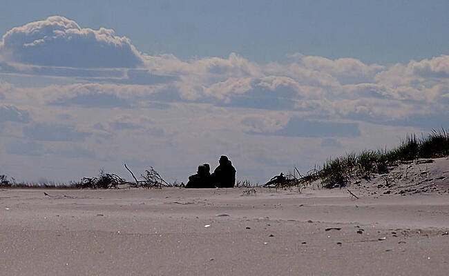 Wall Art featuring the photograph Love by Robert Newman