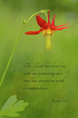 Flower Photograph - Loving Kindness by Mary Jo Allen