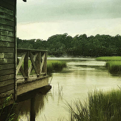 Sky Digital Art - Low Country by Gina Harrison