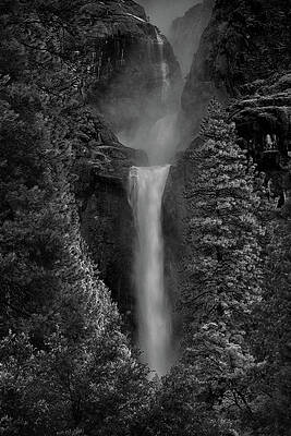 Wall Art featuring the photograph Lower And Middle Yosemite Falls In Black And White by Raymond Salani III