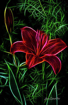 Wall Art featuring the photograph Luminous Lily by Joann Copeland-Paul