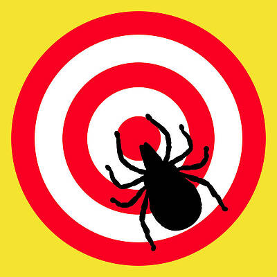 Digital Art - Lyme Disease Ixodes Tick On Target by Richard Reeve