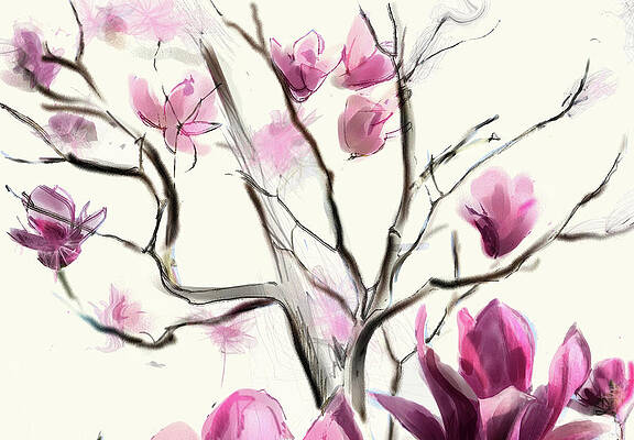 Blossom Digital Art - Magnolias In Bloom by Gina Harrison