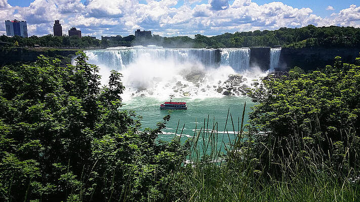 Tree Wall Art featuring the photograph Maid Of The Mist by Al Poullis