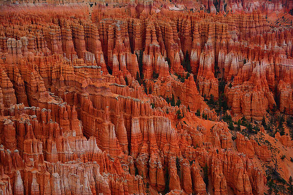 Wall Art featuring the photograph Many A Hoodoo by Raymond Salani III