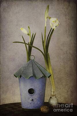 Birdhouse with Spring Flowers Wall Art
