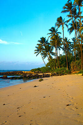 Sea Photograph - Maui Beach by Waterdancer