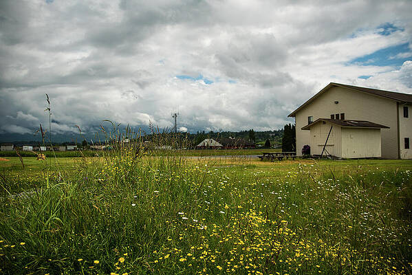 May Photograph - May Showers Bring May Flowers by Tom Cochran