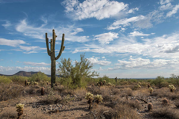 Blue Photograph - McDowell Trails by David Hart