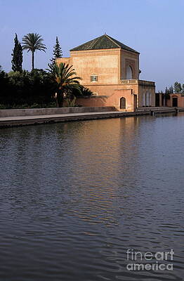 Tree Wall Art featuring the photograph Menara Pavilion In Marrakech by Sami Sarkis Photography