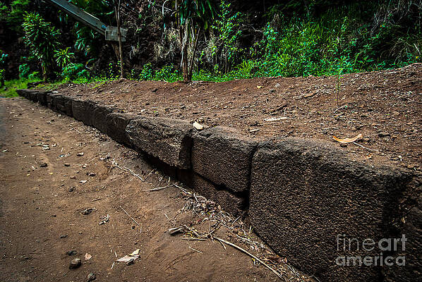 Wall Art featuring the photograph Menehune Ditch Kauai by Blake Webster
