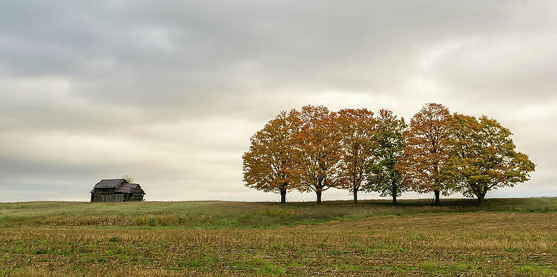 Wall Art featuring the photograph Midwest by Steve L'Italien