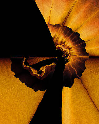 Unique Wall Art featuring the digital art Mindblown by Vic Eberly