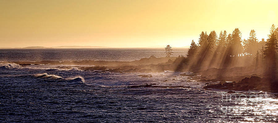 Sunset Over Ocean and Forested Coast Photograph