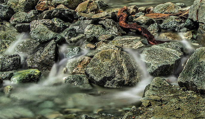Beautiful Photograph - Misty Creek by Ed Clark