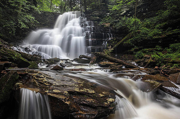 Beautiful Photograph - Misty Top by Todd Wilkinson
