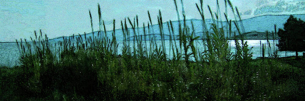 Wall Art featuring the digital art Moonlit Shore by Gina Harrison