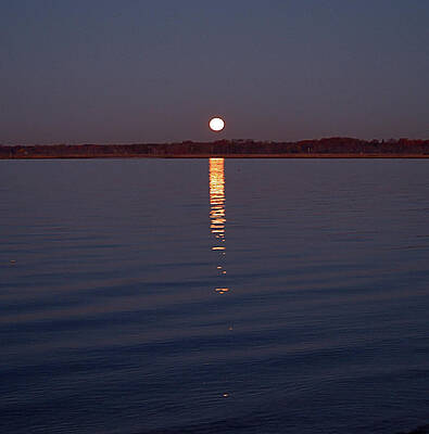Wall Art featuring the photograph Moonset I I I by Robert Newman