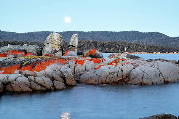 Beach Photograph - Moonset Over Binalong Bay by Nicholas Blackwell
