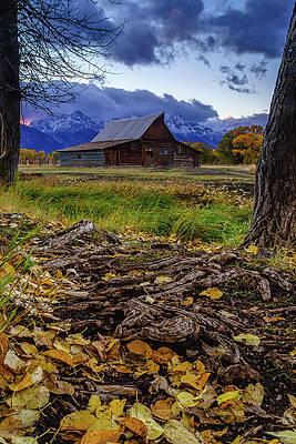 Wyoming Wall Art featuring the photograph Mormon Row Fall by Jeff Stoddart