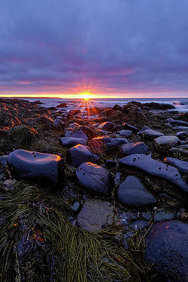 Sky Wall Art featuring the photograph Morning Fire, Sunrise On The New Hampshire Seacoast by Jeff Sinon