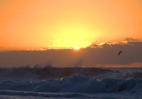 Sunrise Photograph - Morning Fury by Robert Newman