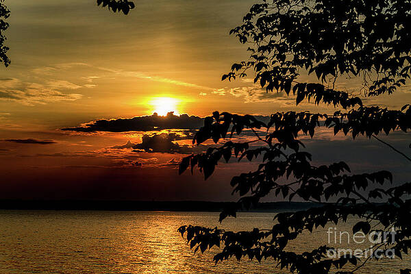 Sunrise Photograph - Morning Glory by William Norton