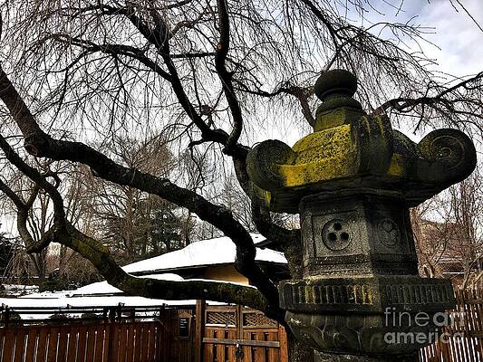 Landscape Wall Art featuring the photograph Moss On Stone by Onedayoneimage Photography